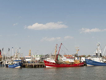 Weltnaturerbe Wattenmeer - Erholung in Büsum | 4 Tage