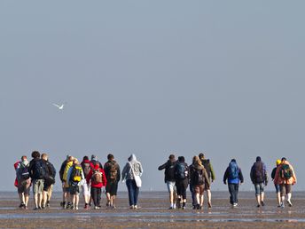 Auszeit in Büsüm an der Nordsee  | 3 Tage