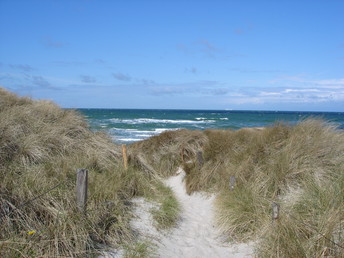 Schnuppertage auf dem Darß in Prerow