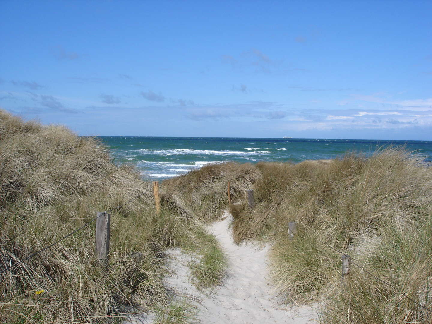 Kurzurlaub im Ostseebad Prerow auf dem Darß