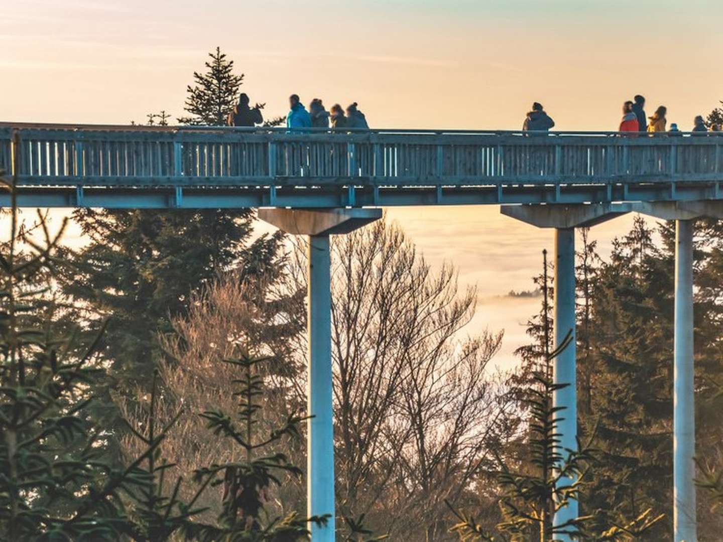 4 Tage im Bayerischen Wald bei St. Englmar mit Sommer-Rodelbahn