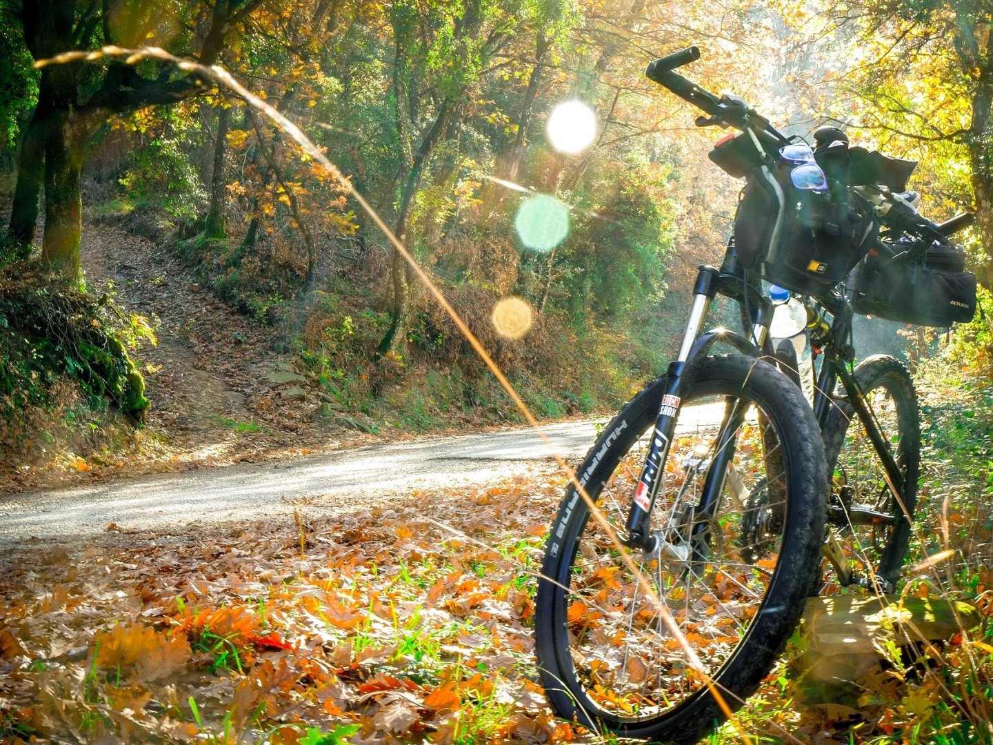 Radurlaub im Schwarzwald - Aktivurlaub zwischen Wald und Panorama inkl. HP | 3 Tage   