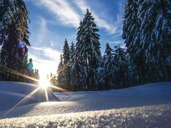 7 Tage - Winterzauber in Sachsen 