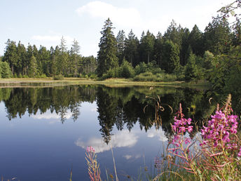 Alles Drin- Bad Harzburg & den Harz erleben!