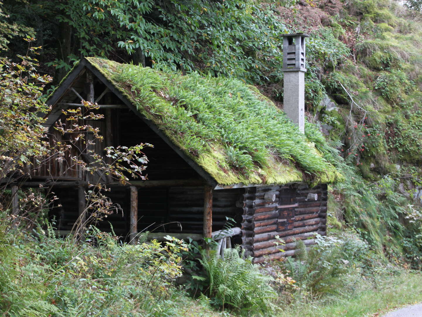 Premiumwandern im Schwarzwald „Gernsbacher Runde“,  „Murgleiter“,  