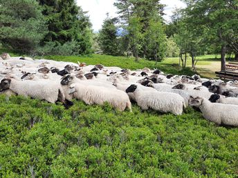 Kurz mal raus ins Sauerland | inkl. Nutzung des Wellnessbereiches 