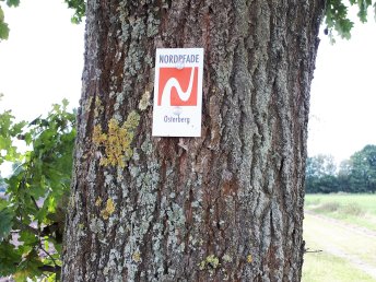 Jahreswechsel am Rande der Lüneburger Heide inkl. Silvesterparty & Halbpension