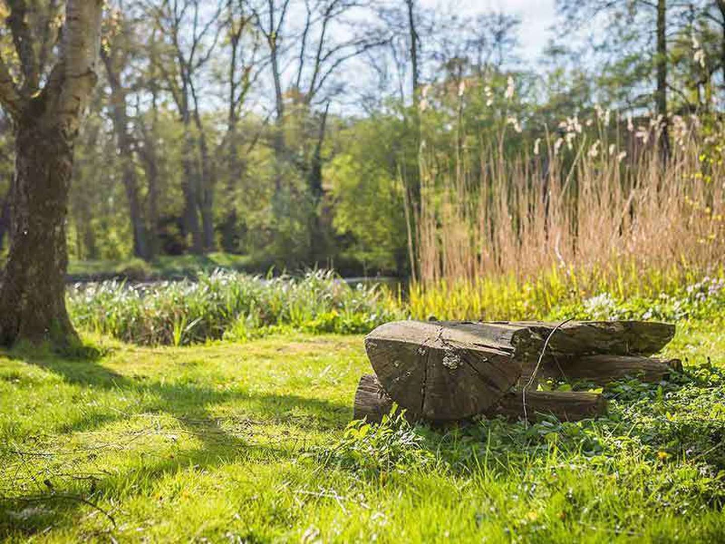 4 Tage Lüneburger Heide-Auszeit zwischen Hamburg & Bremen inkl. Halbpension