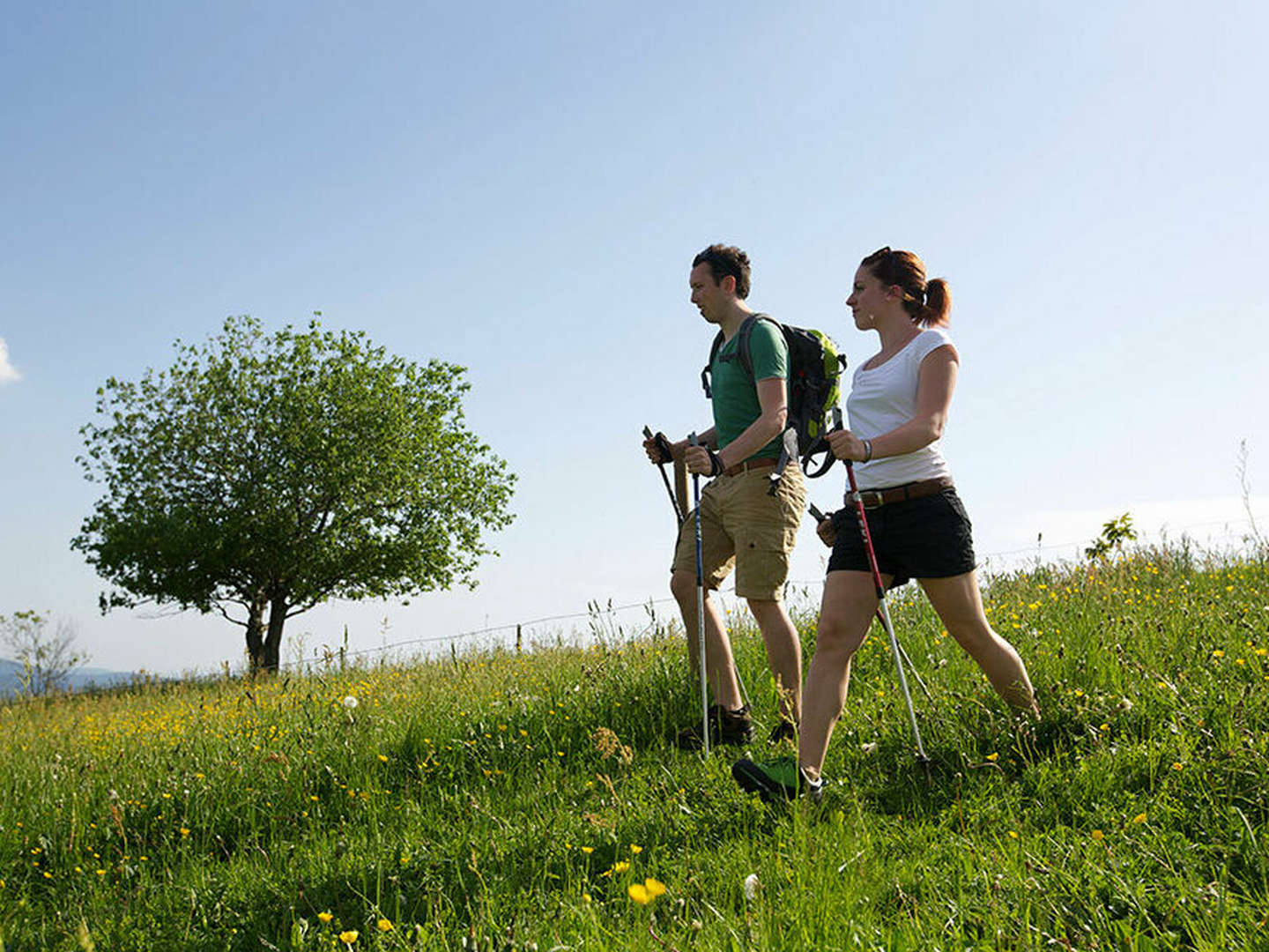 Wiedener Eck's Belchensteig Spezial - Wandertage am Belchen