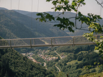 Wiedener Eck's Belchensteig Spezial - Wandertage am Belchen