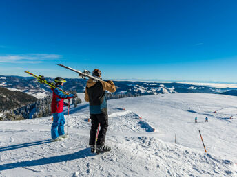 Wiedener Eck's Weitblick I beste Aussichten im Südschwarzwald auf 1050 m.ü.M.