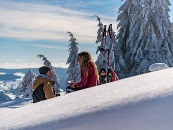 Wiedener Eck's Weitblick I beste Aussichten im Südschwarzwald auf 1050 m.ü.M.