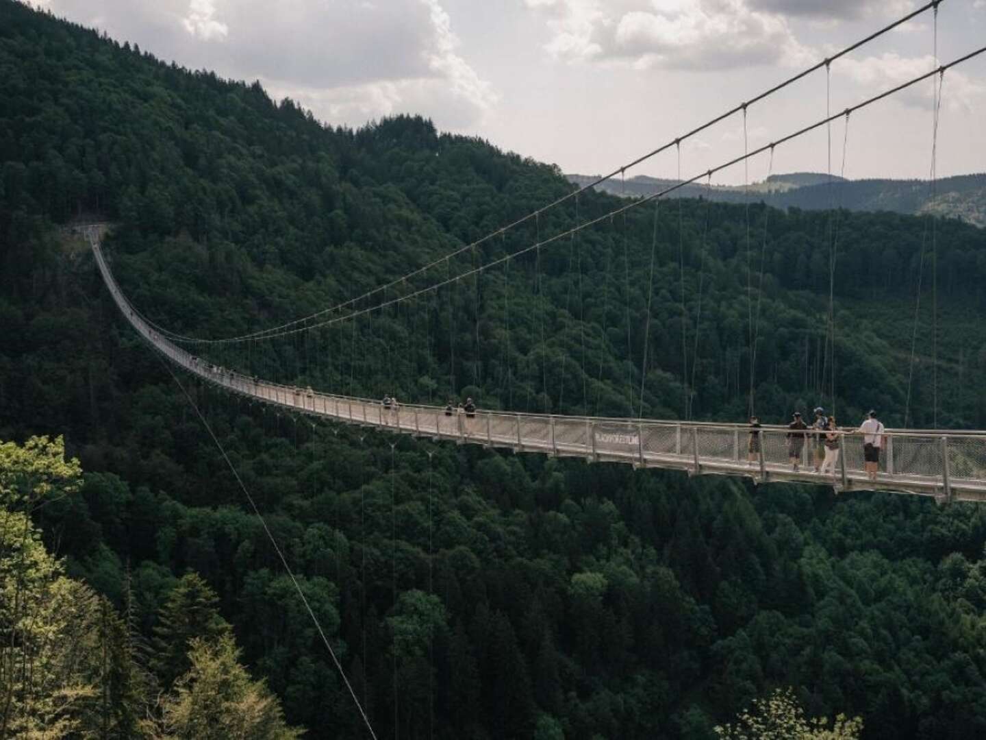 Wiedener Eck's Probiererle I Schwarzwald inklusive Genießer-Menü