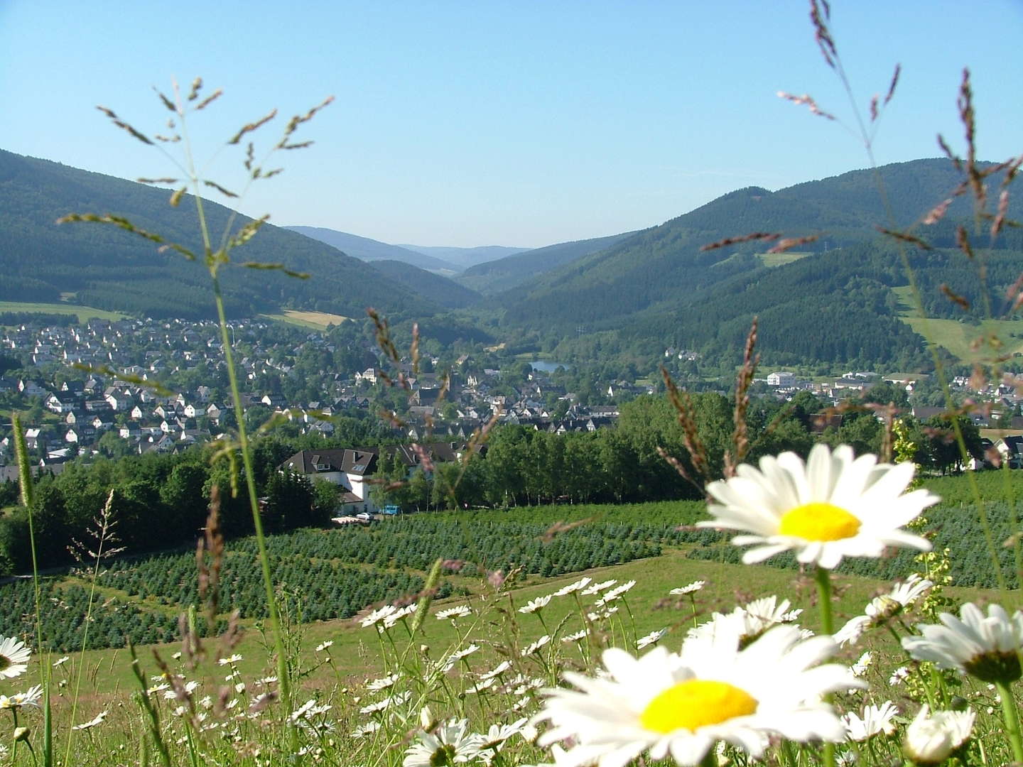 Romantische Tage im Hochsauerland in der Kurpark Villa