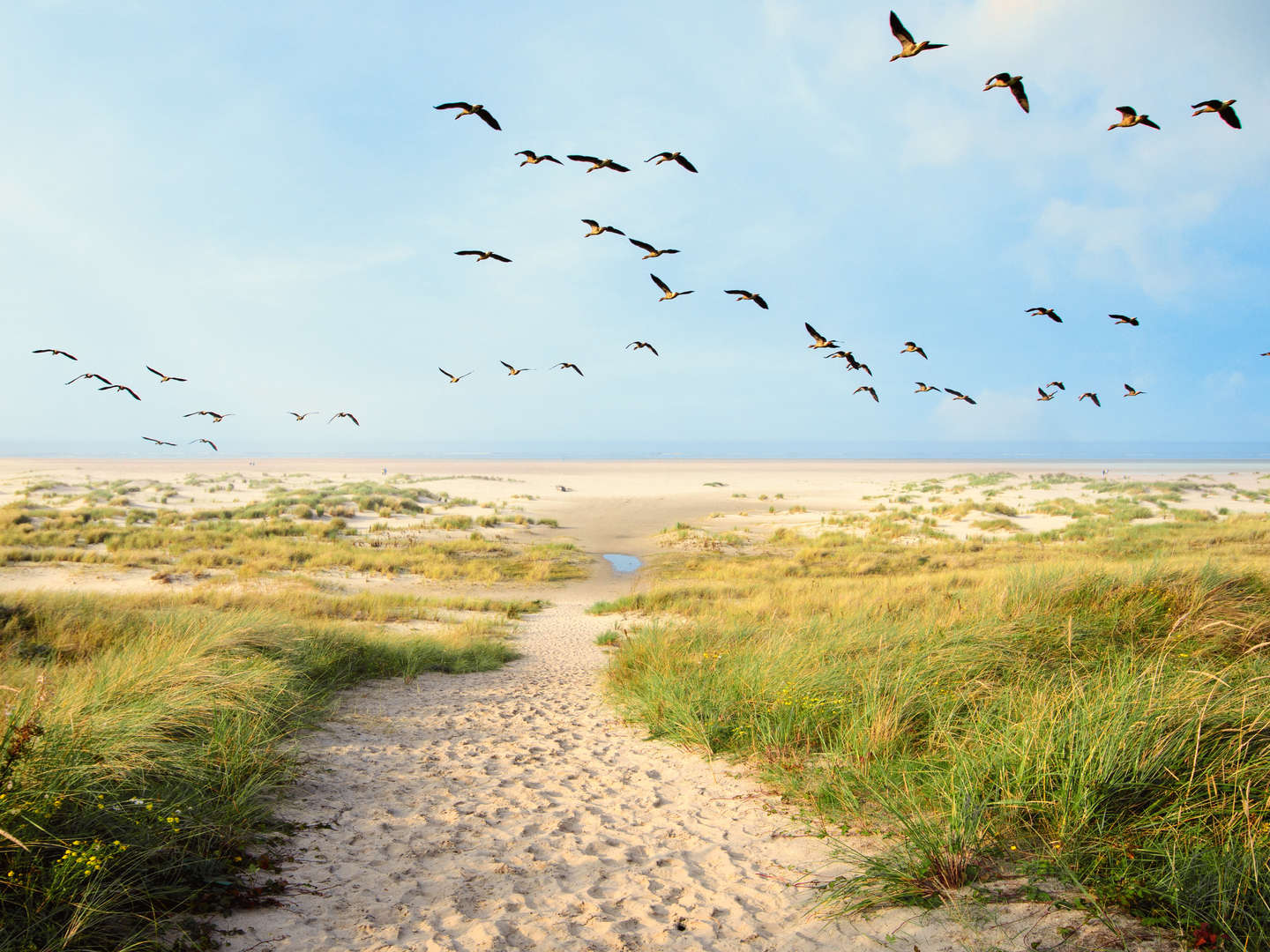 7 Erholungstage im Ferienappartement an der Nordsee inkl. Langeoog