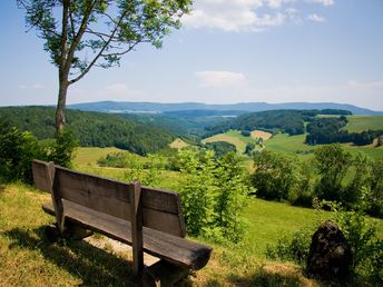 3 Tage Schwarzwaldurlaub in Todtmoos