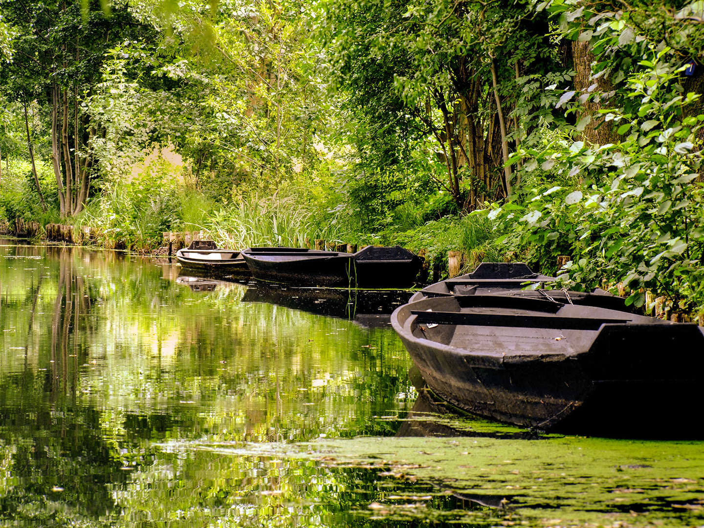 5 = 4 Spartage im Spreewald inkl. Fahrrad & Paddelboot