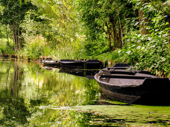 5 = 4 Spartage im Spreewald inkl. Fahrrad & Paddelboot