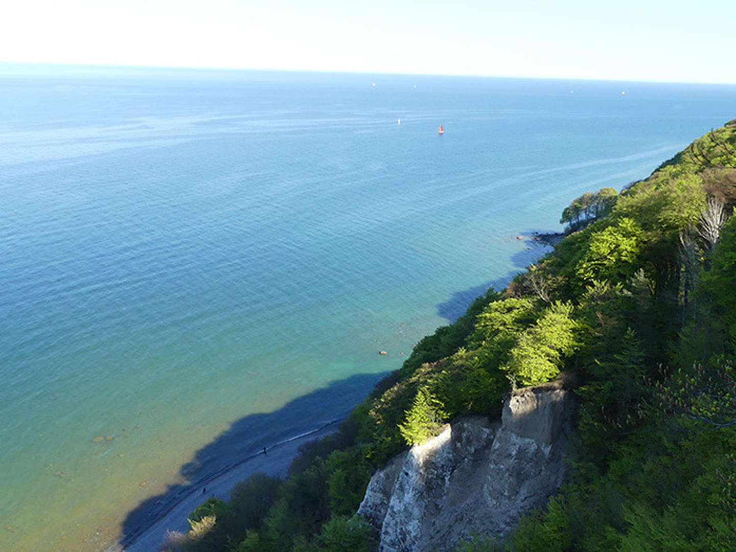 3 Tage Kurzurlaub auf der schönen Insel Rügen inkl. Baumwipfelpfad & Abendessen