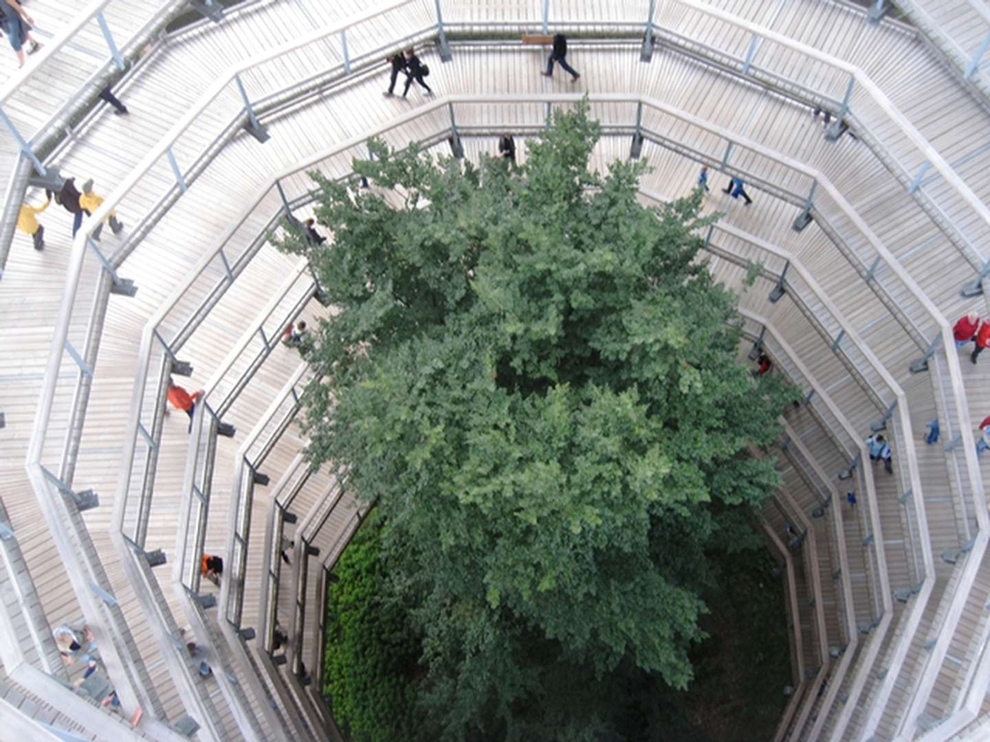 Rügener Erlebnis -  inkl.Eintritt für den Nationalpark-Zentrum Königsstuhl mit Skywalk