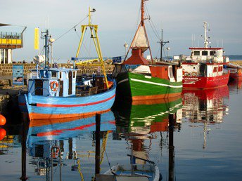 6 Tage / 5 Übernachtungen auf der schönsten Halbinsel Rügens  inkl. Baumwipfelpfad 