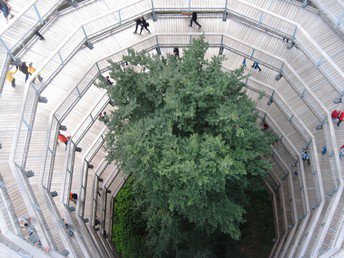 6 Tage auf der schönsten Halbinsel Rügens  inkl. Nationalpark-Zentrum Königsstuhl mit Skywalk