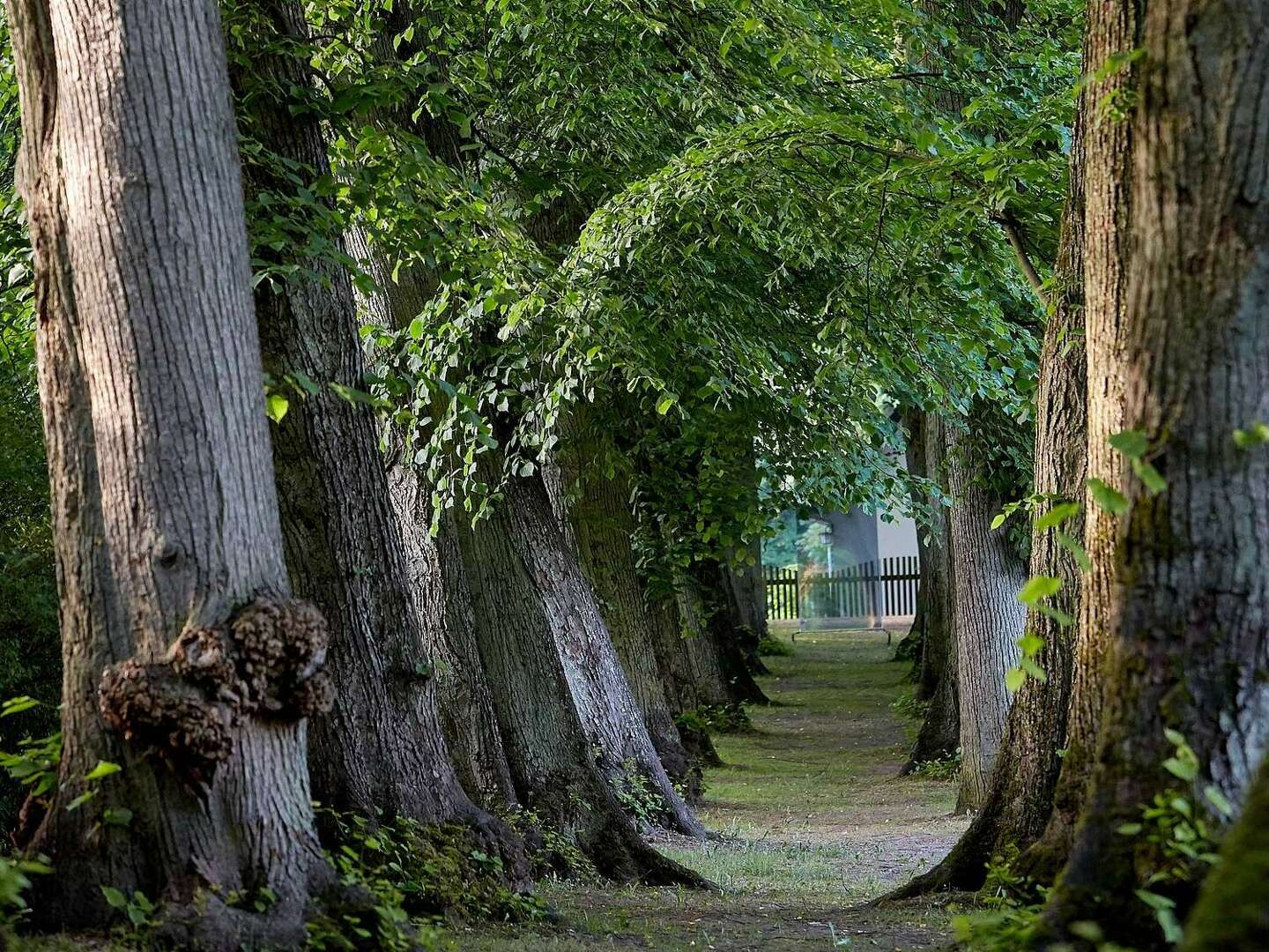 Erholung zu zweit im Schloss in Westmecklenburg