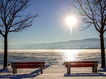 Für unsere Hundeliebhaber- 4 Tage am Bodensee