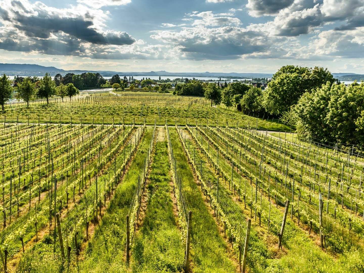 Für unsere Secco-Liebhaber- 5 Tage am Bodensee