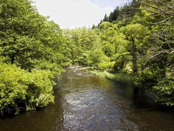 4 Tage Kurzurlaub in der Eifel  inkl. luxuriöses Abendessen & Massage