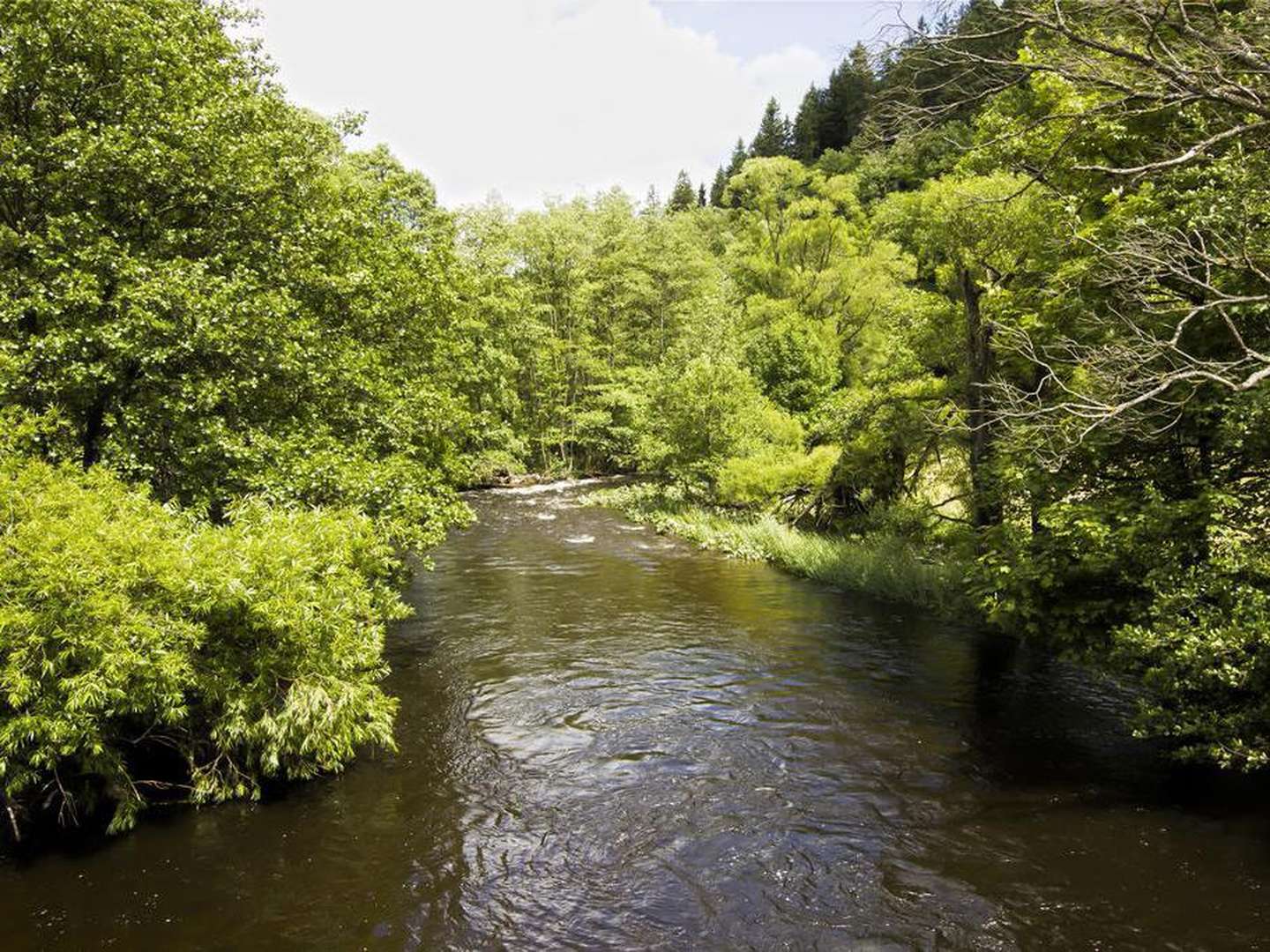 3 Tage Kurzurlaub in der Eifel inkl. Halbpension