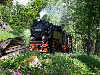 Kurzreise Natur Pur in den Harz inkl. Schmalspurbahn-Fahrt