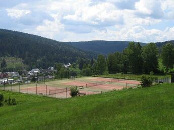 5 Schlemmertage in Klingenthal im Vogtland inkl. Halbpension