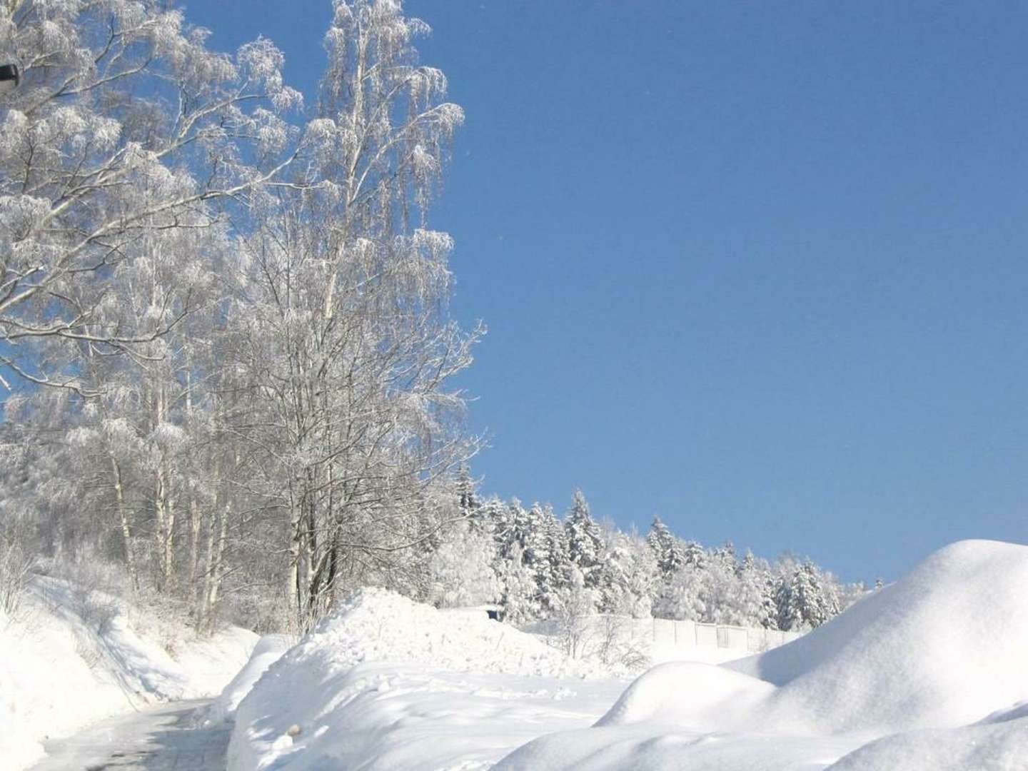 Alles was ich brauch! 4 Tage in Klingenthal inkl. Halbpension  