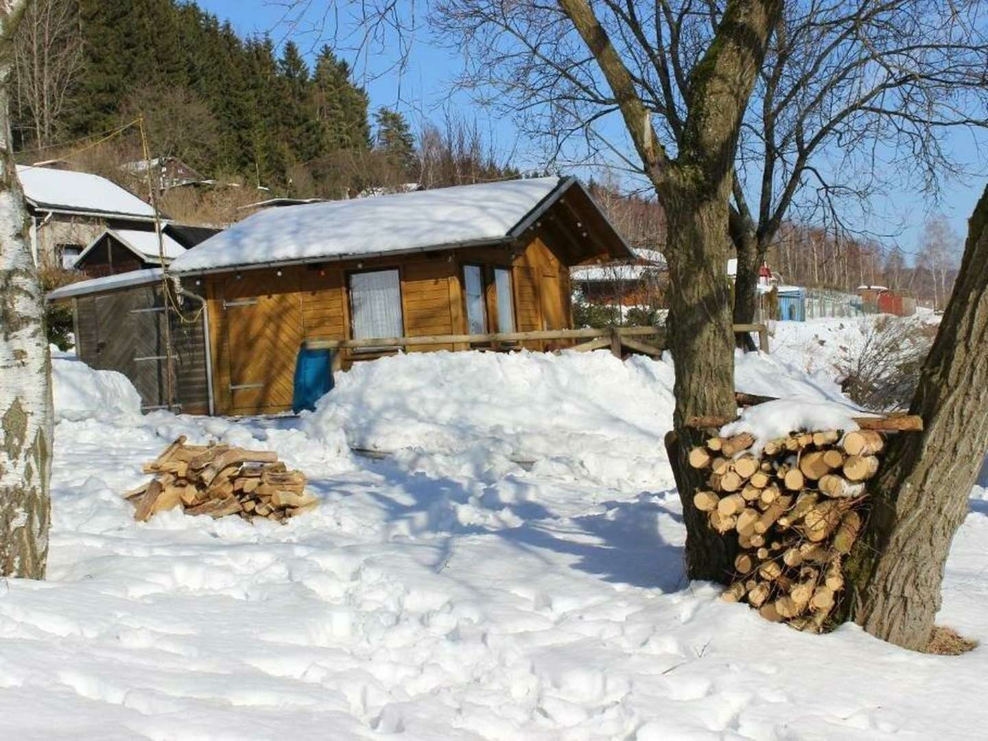 7 Schlemmertage in Klingenthal im Vogtland inkl. Halbpension