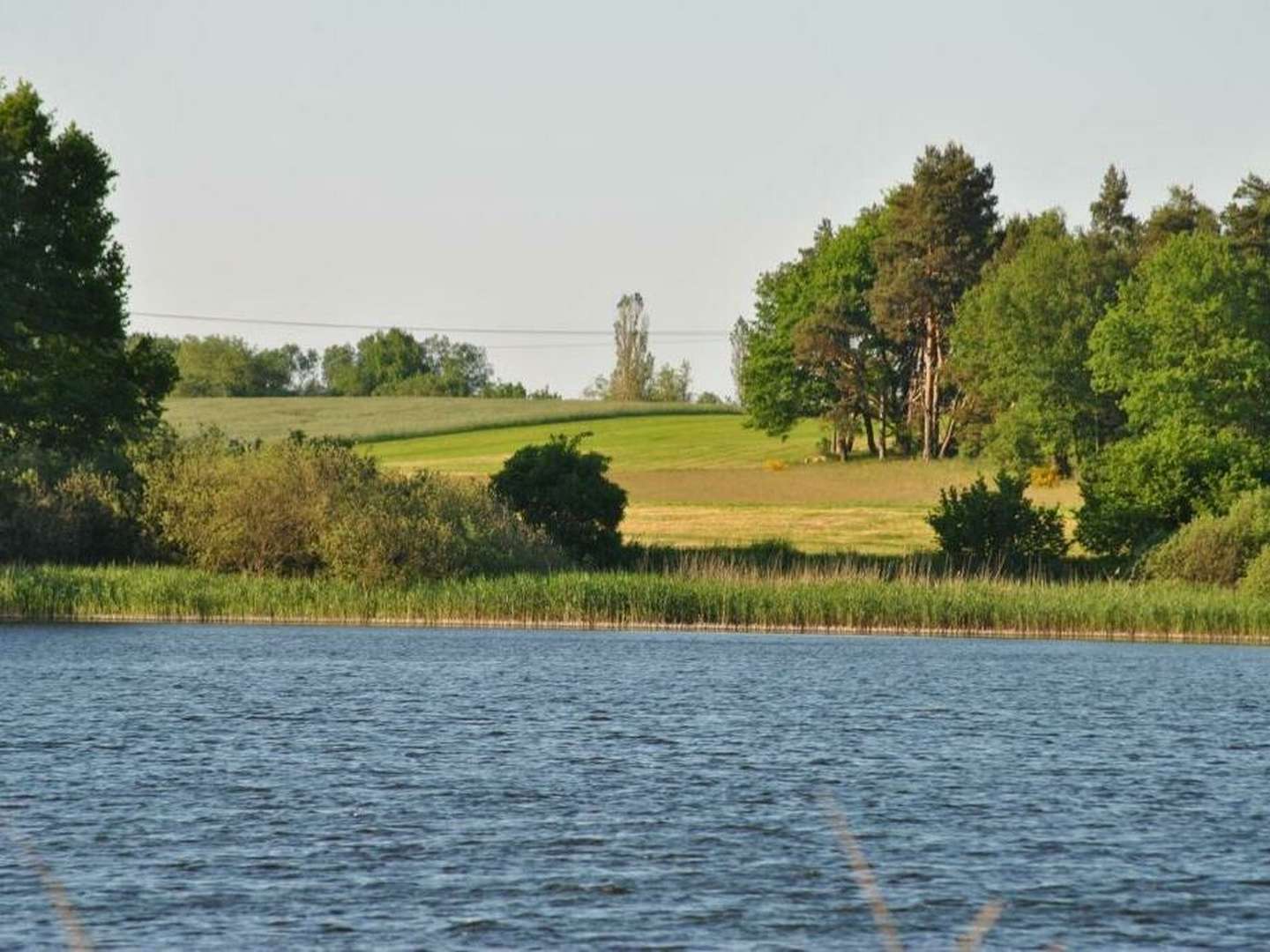 Landurlaub inkl. Bärenwald und Müritzeum 2025