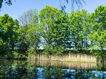 Auszeit vom Alltag an der Mecklenburgischen Seenplatte