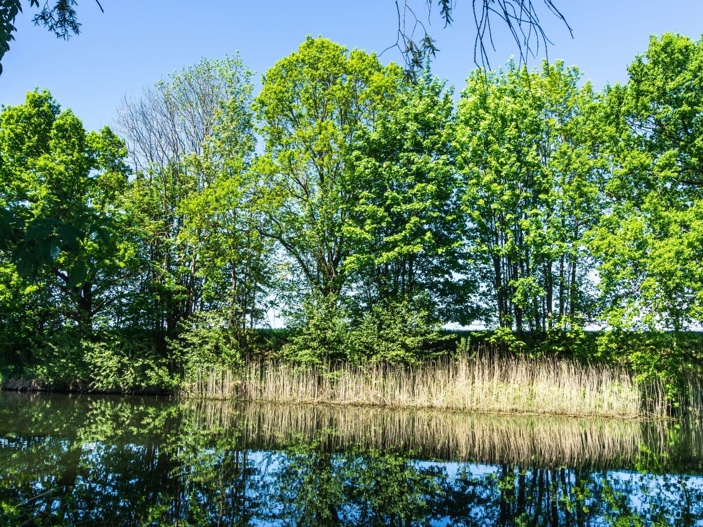 Natur erleben - mit dem Fahrrad & Picknickkorb durchs Mecklenburger Land