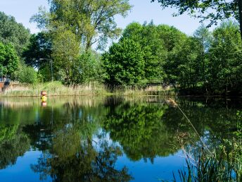 Natur erleben - mit dem Fahrrad & Picknickkorb durchs Mecklenburger Land