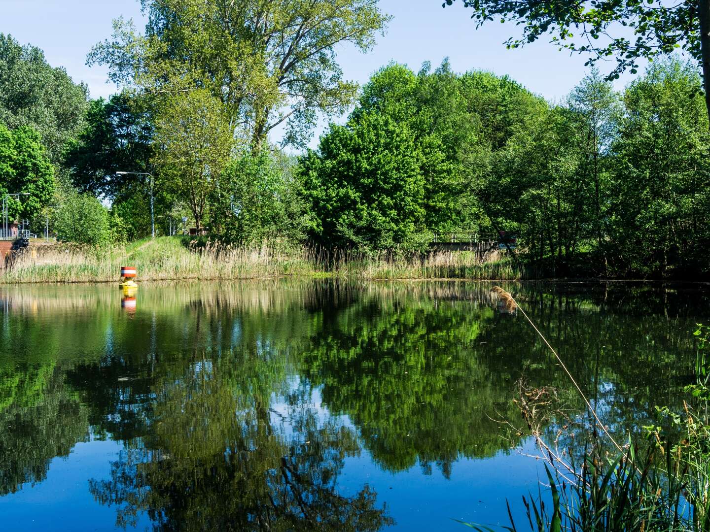 Mecklenburger Seenplatte - eine kleine Auszeit an der Elde