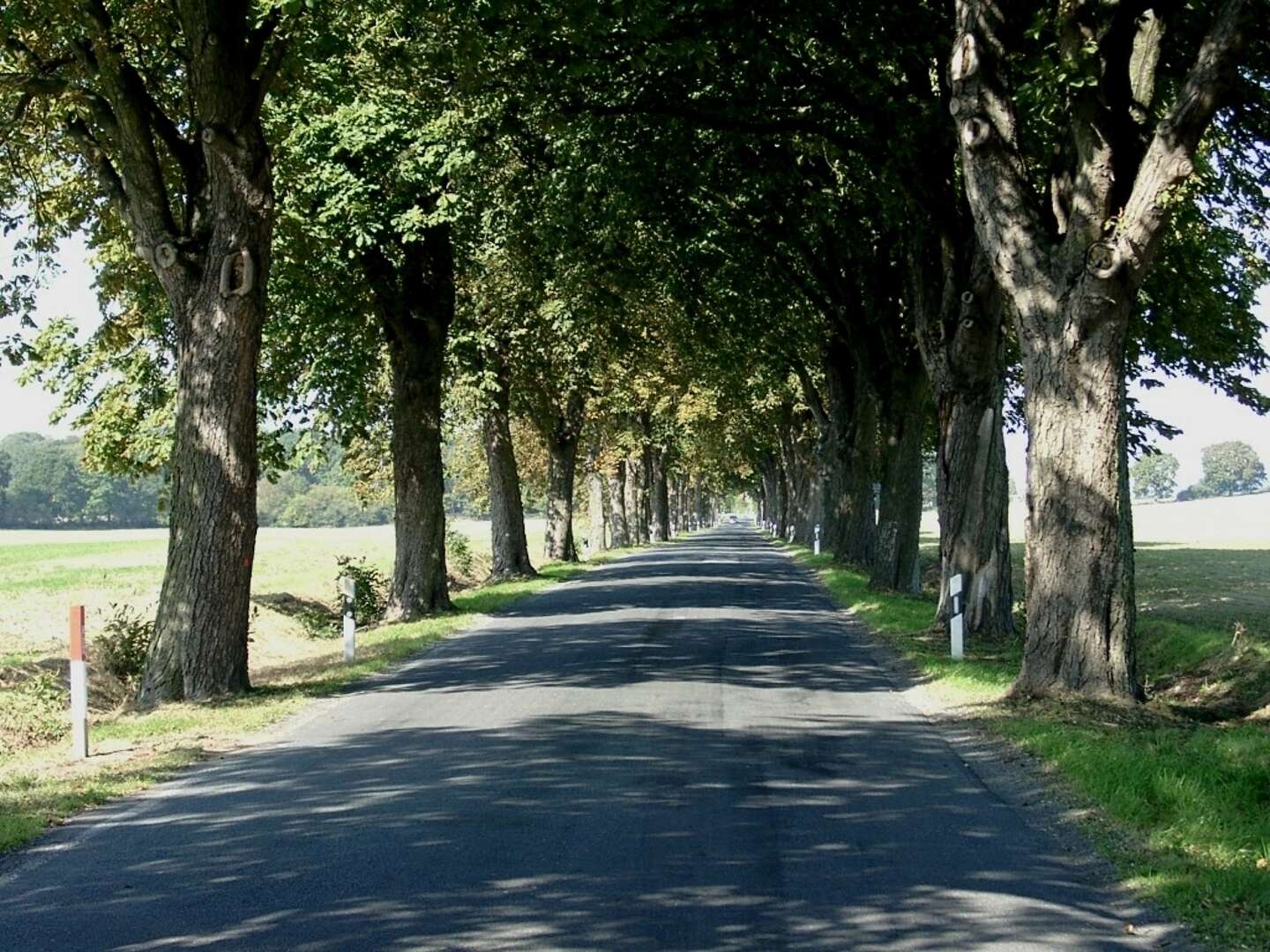 Mecklenburger Seenplatte - eine kleine Auszeit an der Elde