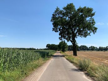 Auszeit vom Alltag - Ruhe finden nahe der Weser | 3 Tage