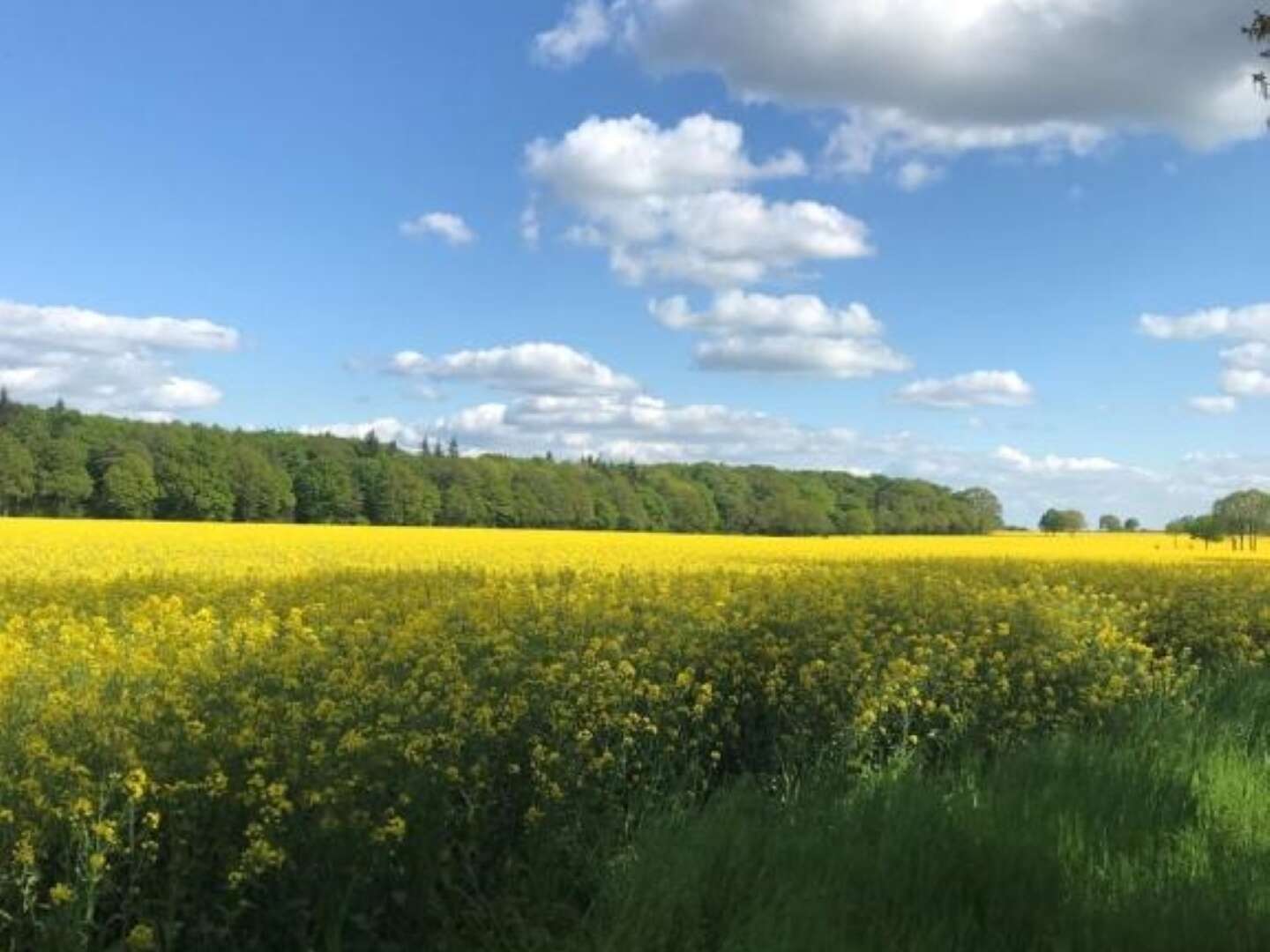 Auszeit vom Alltag - Ruhe finden nahe der Weser | 3 Tage