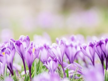 Ostern auf dem Land - kleine Auszeit voller Entspannung | 4 Tage 