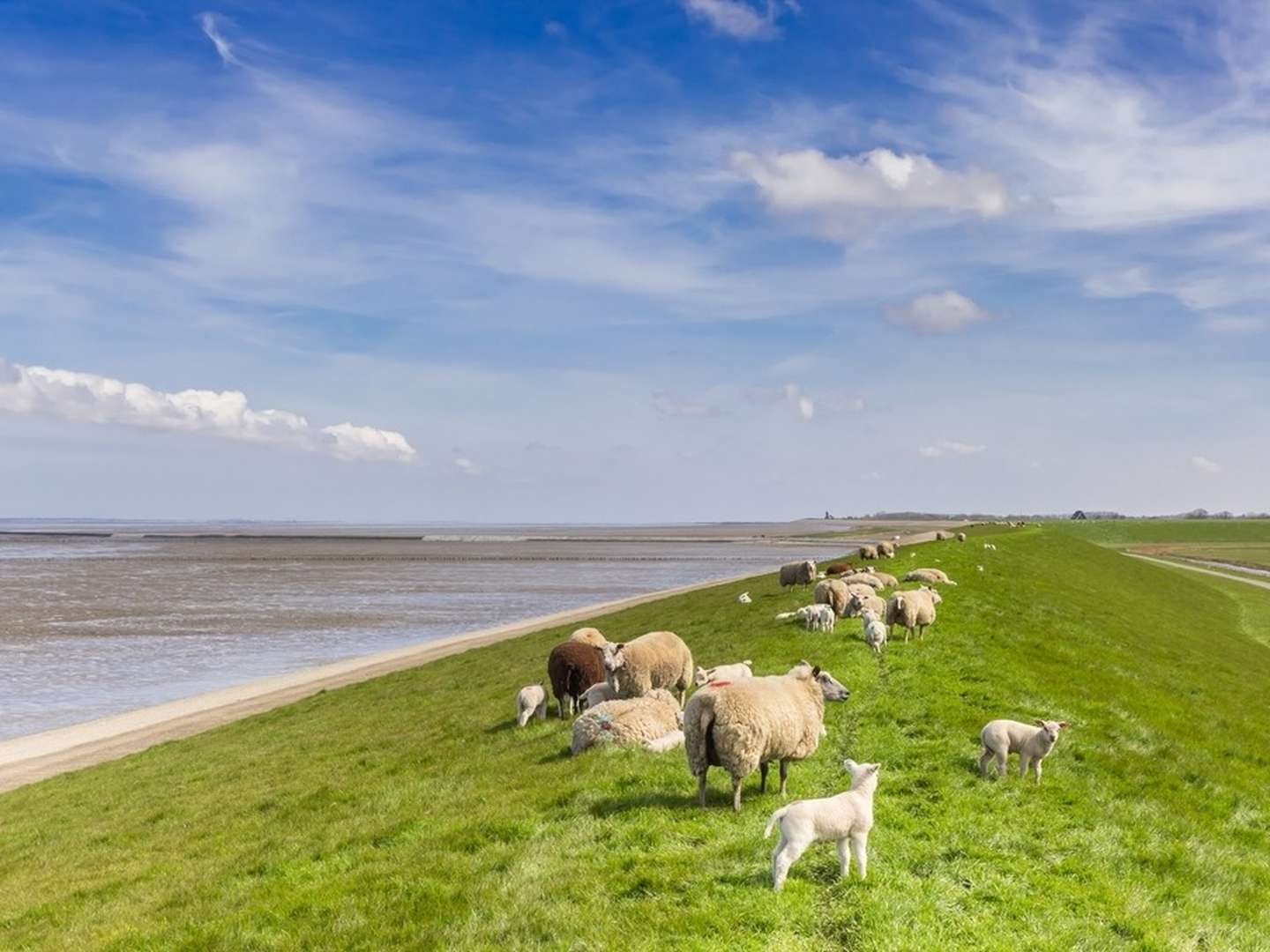 Ostern an der Nordsee