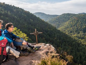 3 Tage Aktiv im Wald in der Pfalz