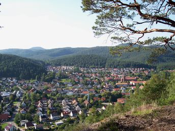 3 Tage Aktiv im Wald in der Pfalz