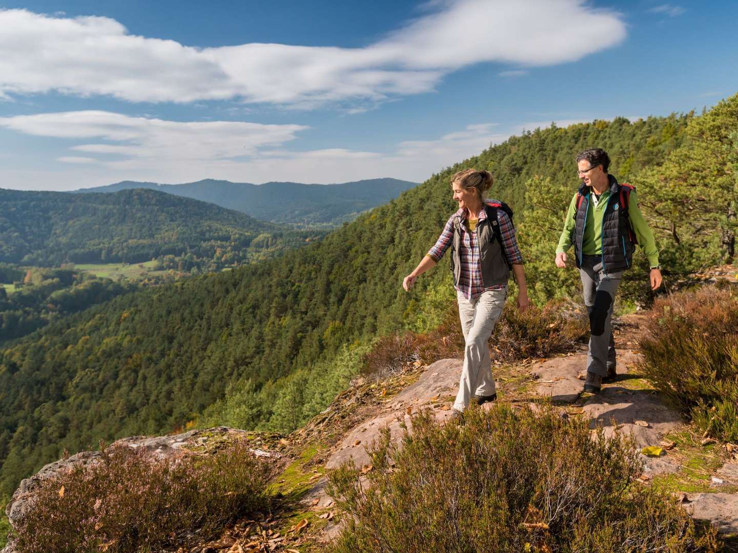 3 Tage Aktiv im Wald in der Pfalz