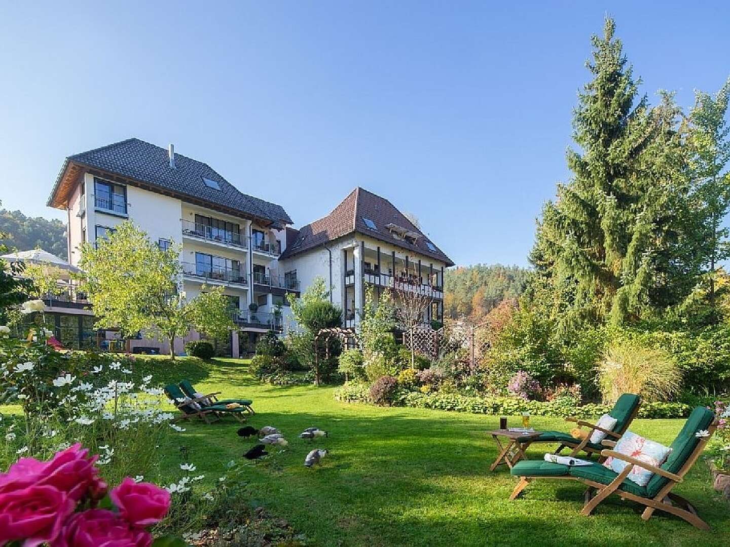 6 Tage Arrangement Wochenauszeit in der Pfalz