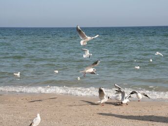 Ostsee-Auszeit Sommer inkl. tägl. Abendmenü   